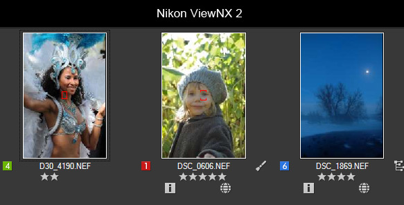 Integration Nikon ViewNX with Daminion