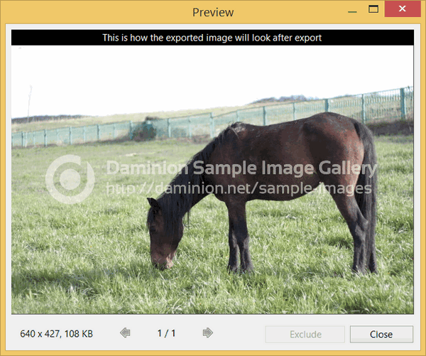 Protect your exported images from unauthorized usage by watermarks