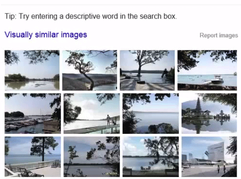 Find visually similar images in the Internet