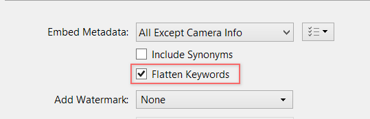 Flatten keywords in the exported images 