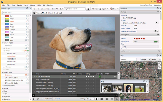 Daminion 3.7 - Digital Photo Management Software