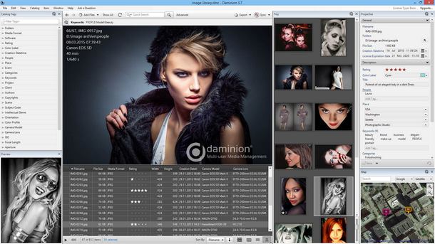 Daminion - multi-user photo management software