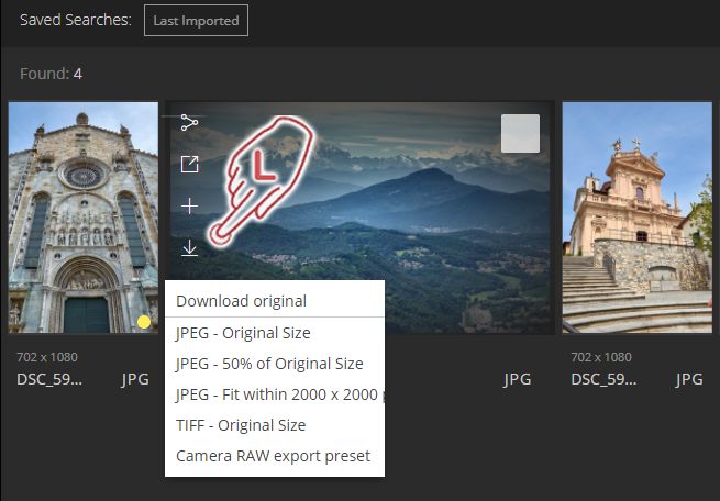 Export presets in web client