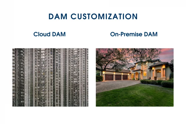DAM Customization: Cloud DAM vs On-Premise DAM solution