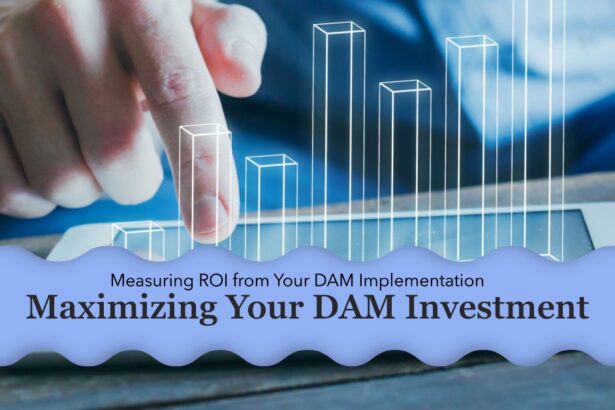 Measuring ROI from Your DAM Implementation
