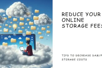 How to Decrease Storage Fees for Online DAM/File Storage Systems