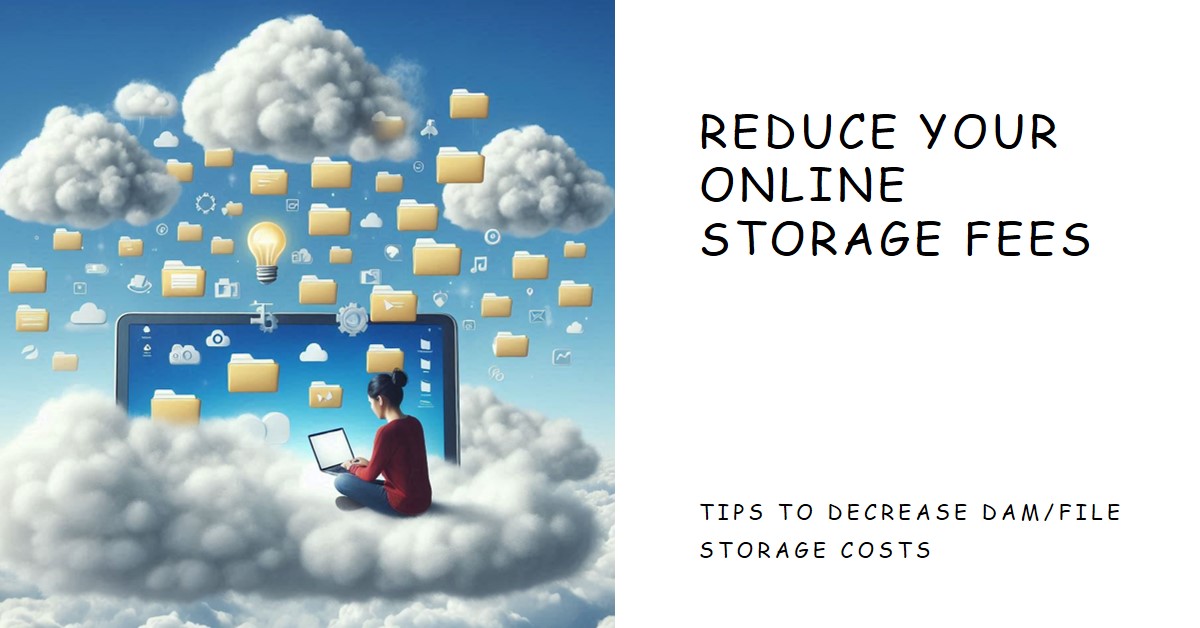 How to Decrease Storage Fees for Online DAM/File Storage Systems