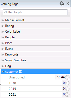 Adding newly created custom tag to the catalog tags panel