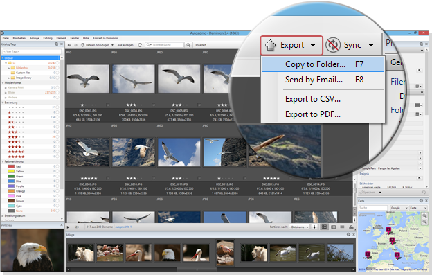 Export-01_ENG