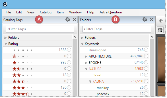 Catalog Tags and Folders Panel arranged side by side