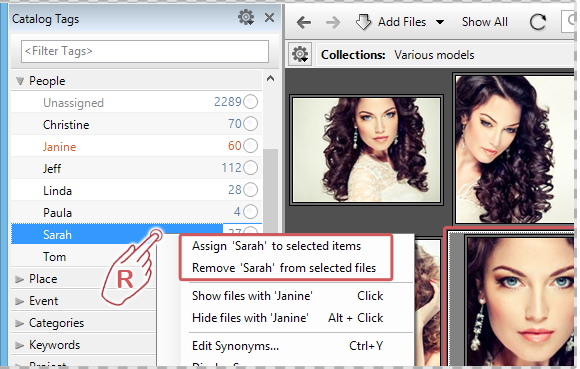 Assigning Tags with the right click menu on the Catalog Tags Panel
