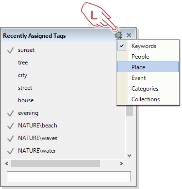 Changing the Tag view in the "Recently Assigned Tags" dialog