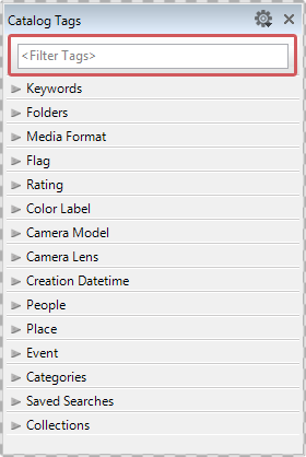 The "Filter Tags" box in the Catalog Tags Panel