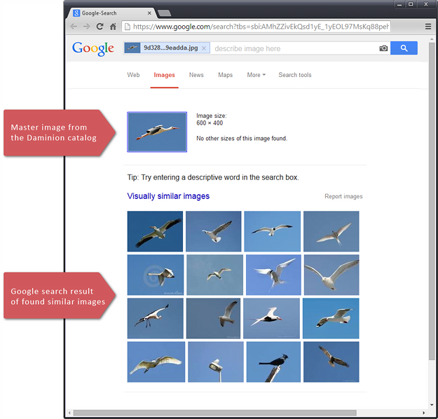 The Google search result for found similar images