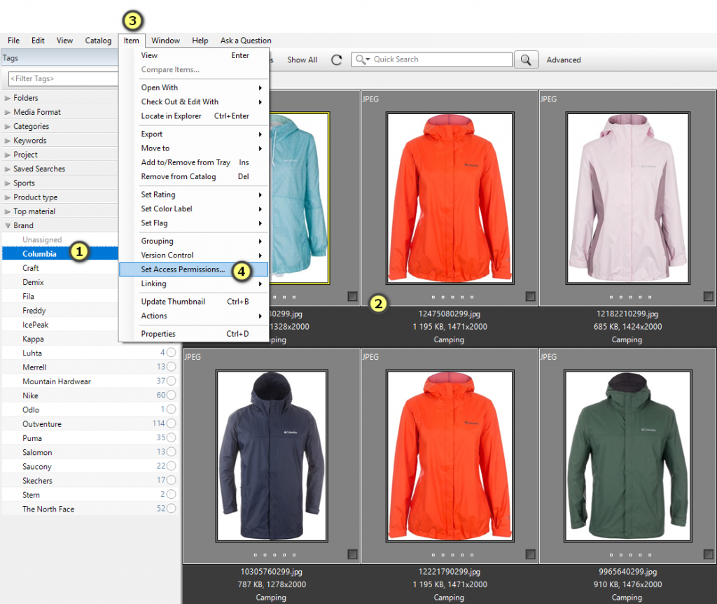 Installing Daminion Standalone (Client) Daminion