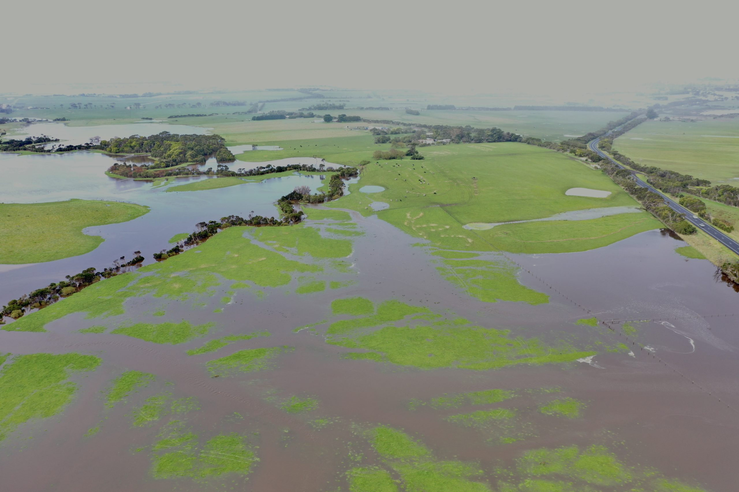 Rural flooding, 15 Aug 2022. Baw Baw State Emergency Service