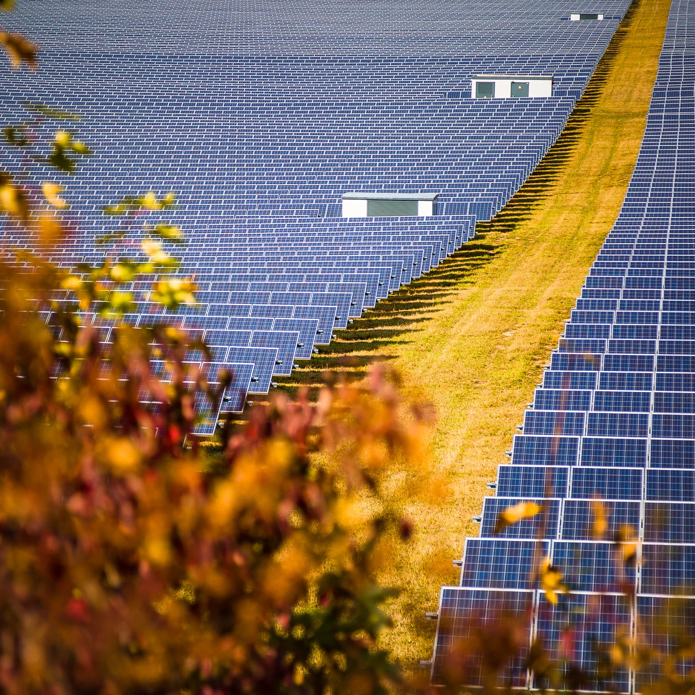 IBC_Solarpark_Herbst