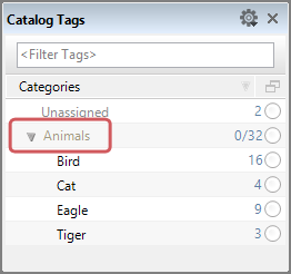 Tag Groups in the Catalog Tags Panel