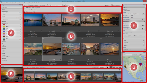 Overview of the Daminion workspace