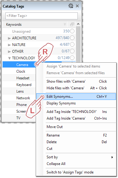 Launching the Synonym Editor to link synonyms to keywords