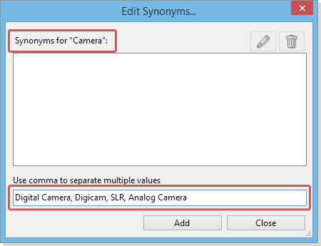 The Synonym Editor Dialog