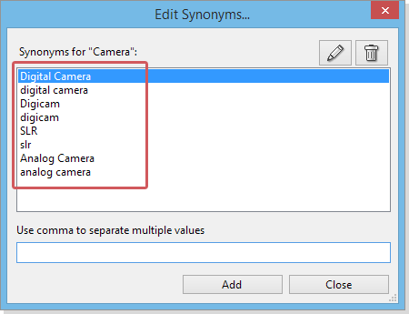 The Synonym Editor Dialog