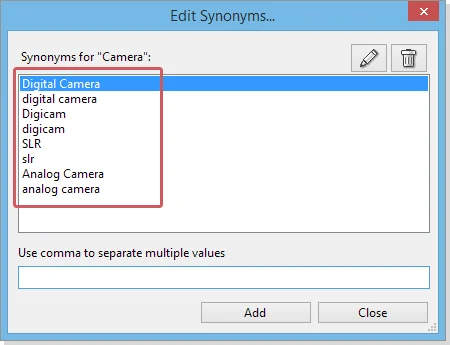 The Synonym Editor Dialog