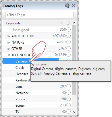 Balloon help showing all assigned synonyms