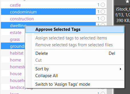 approved-unapproved-tags4