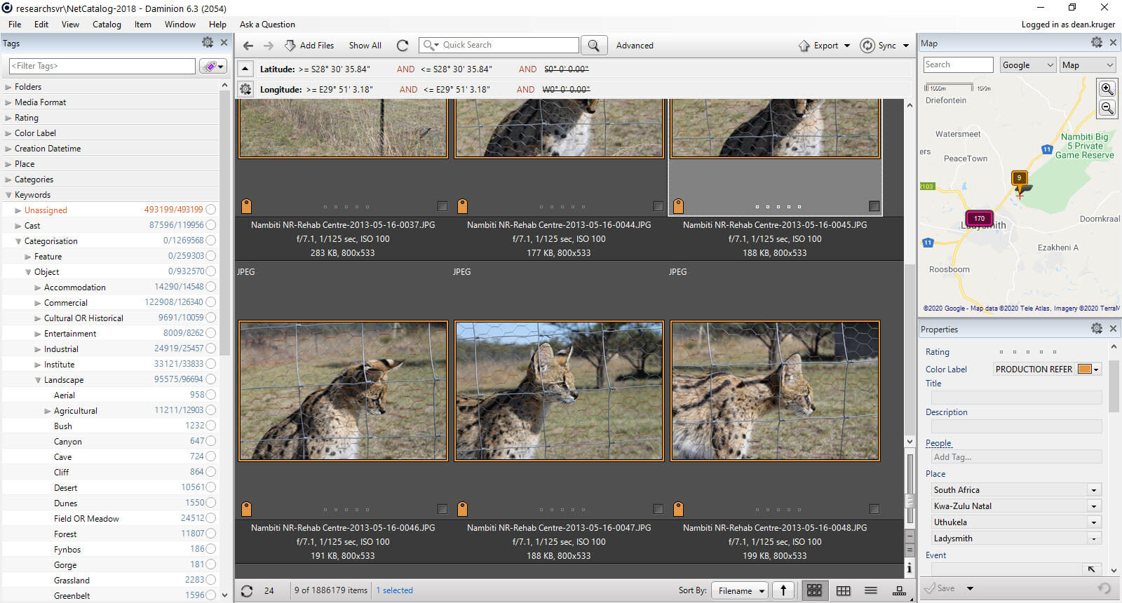 A ton of your digital media is spread all over different folders, computers, storage systems. 