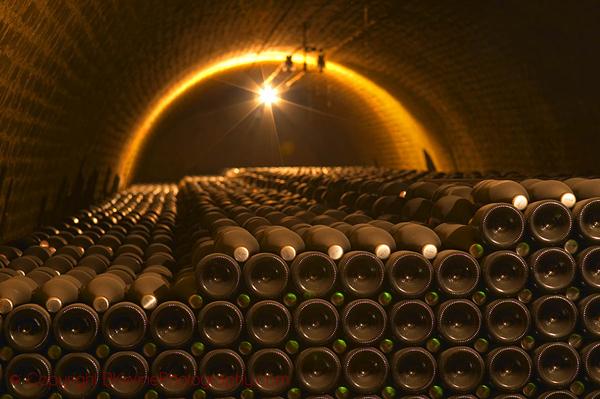 Champagne bottles stacked in an underground vaulted cellar