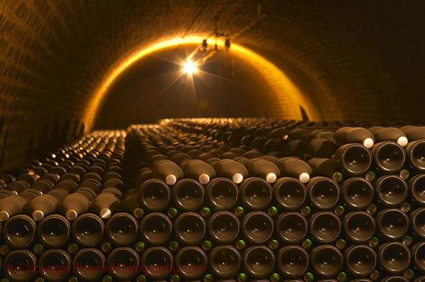 Champagne bottles stacked in an underground vaulted cellar