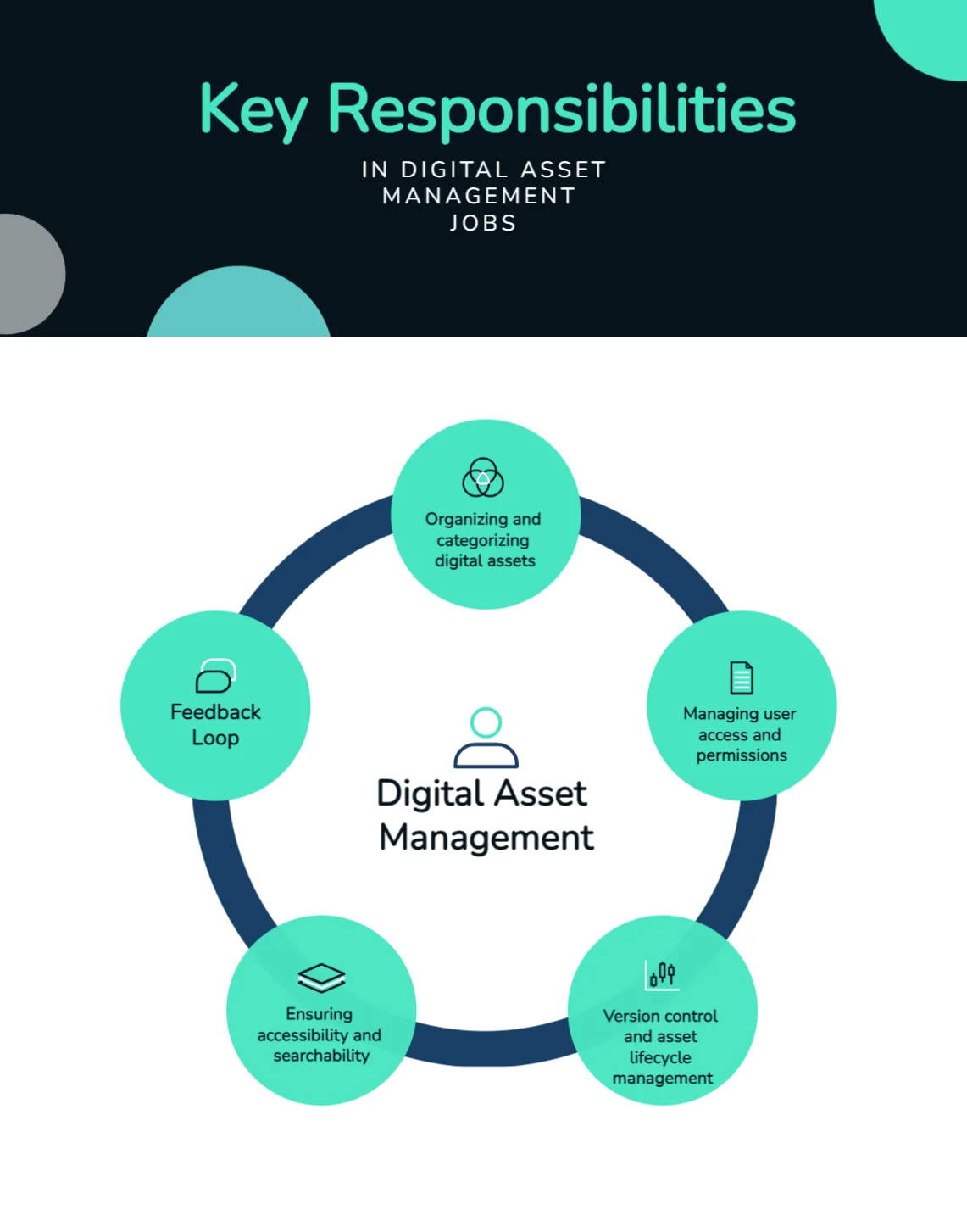 Key responsibilities in DAM