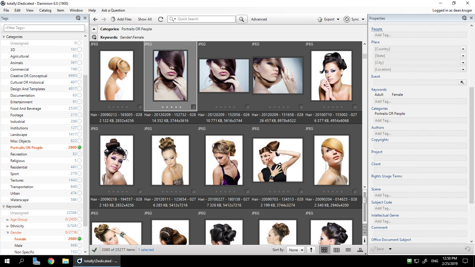 Adobe Bridge vs Daminion