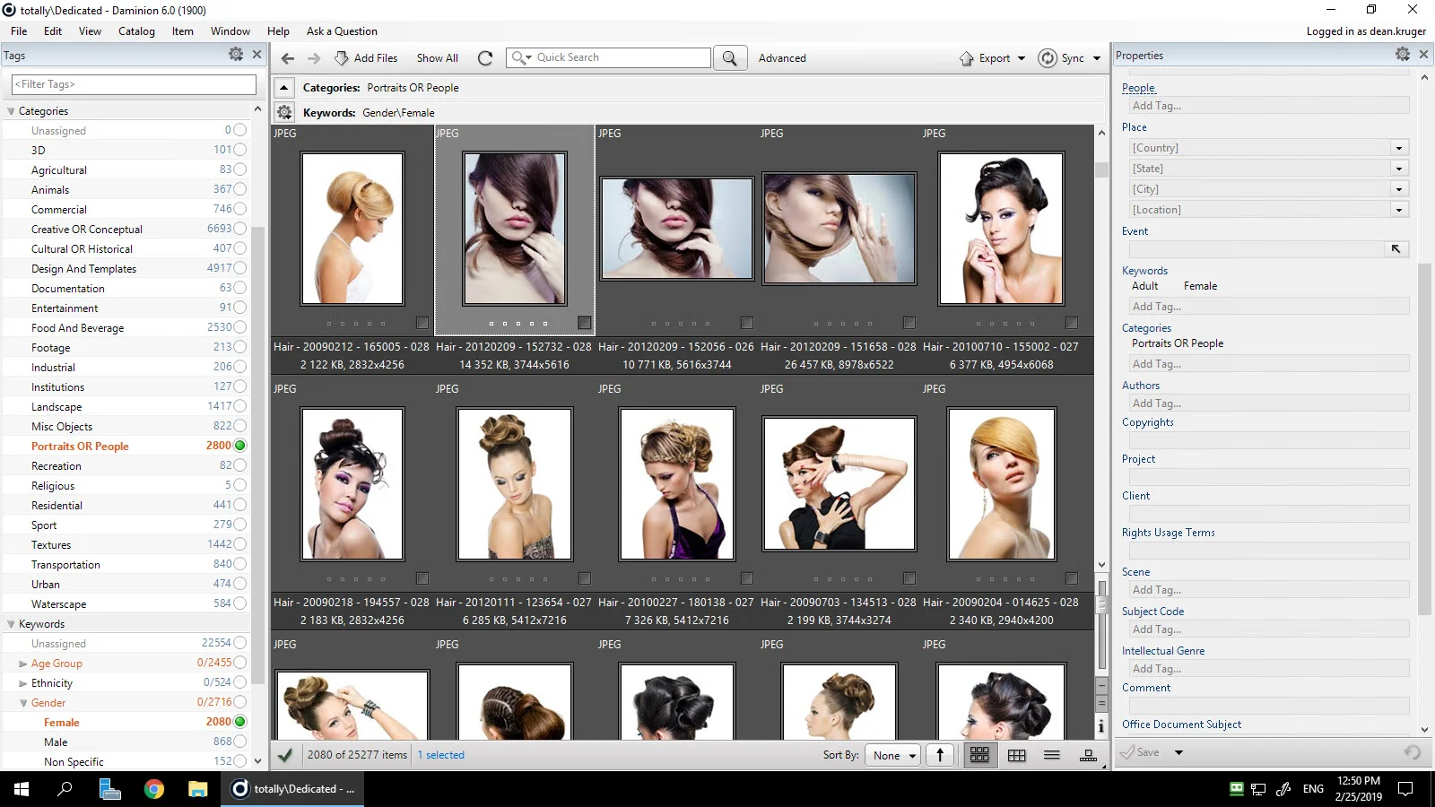Adobe Bridge vs Daminion
