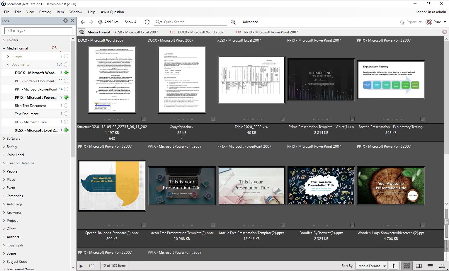 Daminion DAM displays visual previews for PDF and office documents (PPTX, DOCX)
