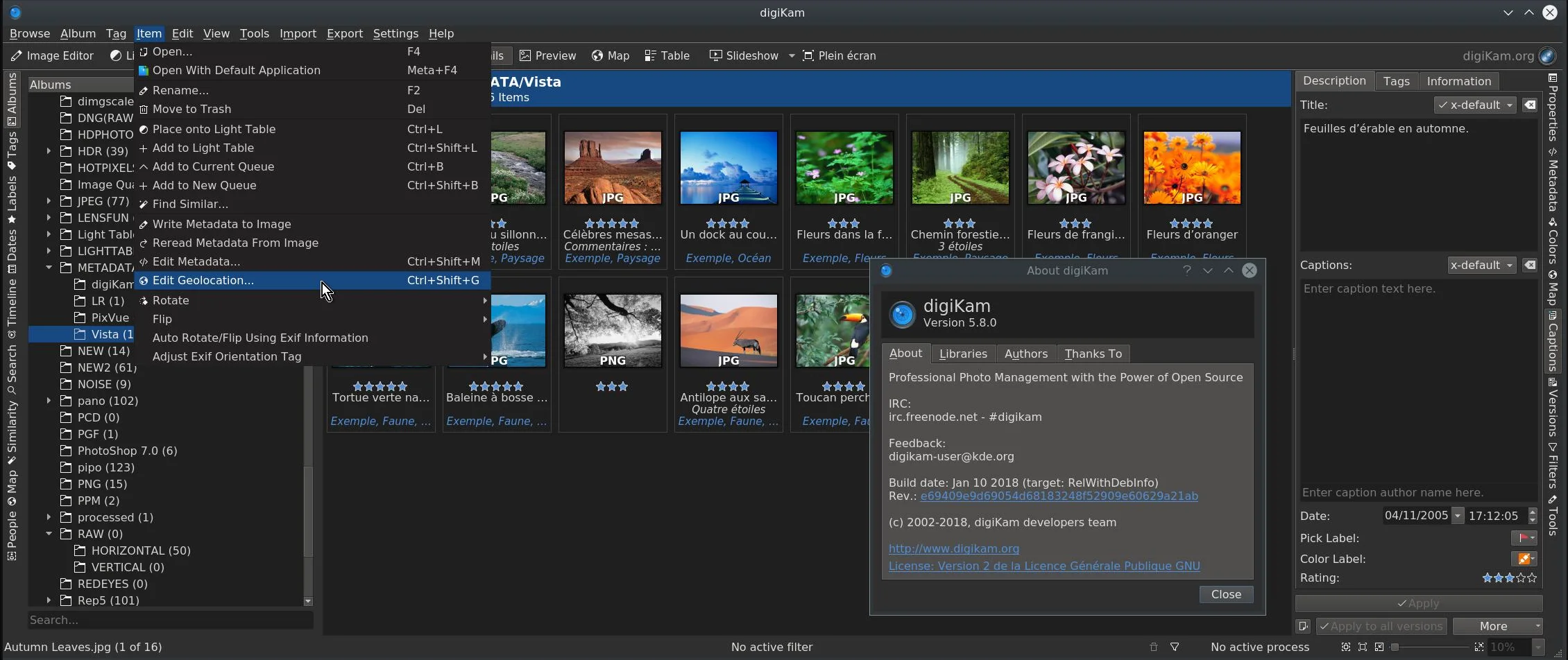Album view with the item context menu open for tagging and organising photos