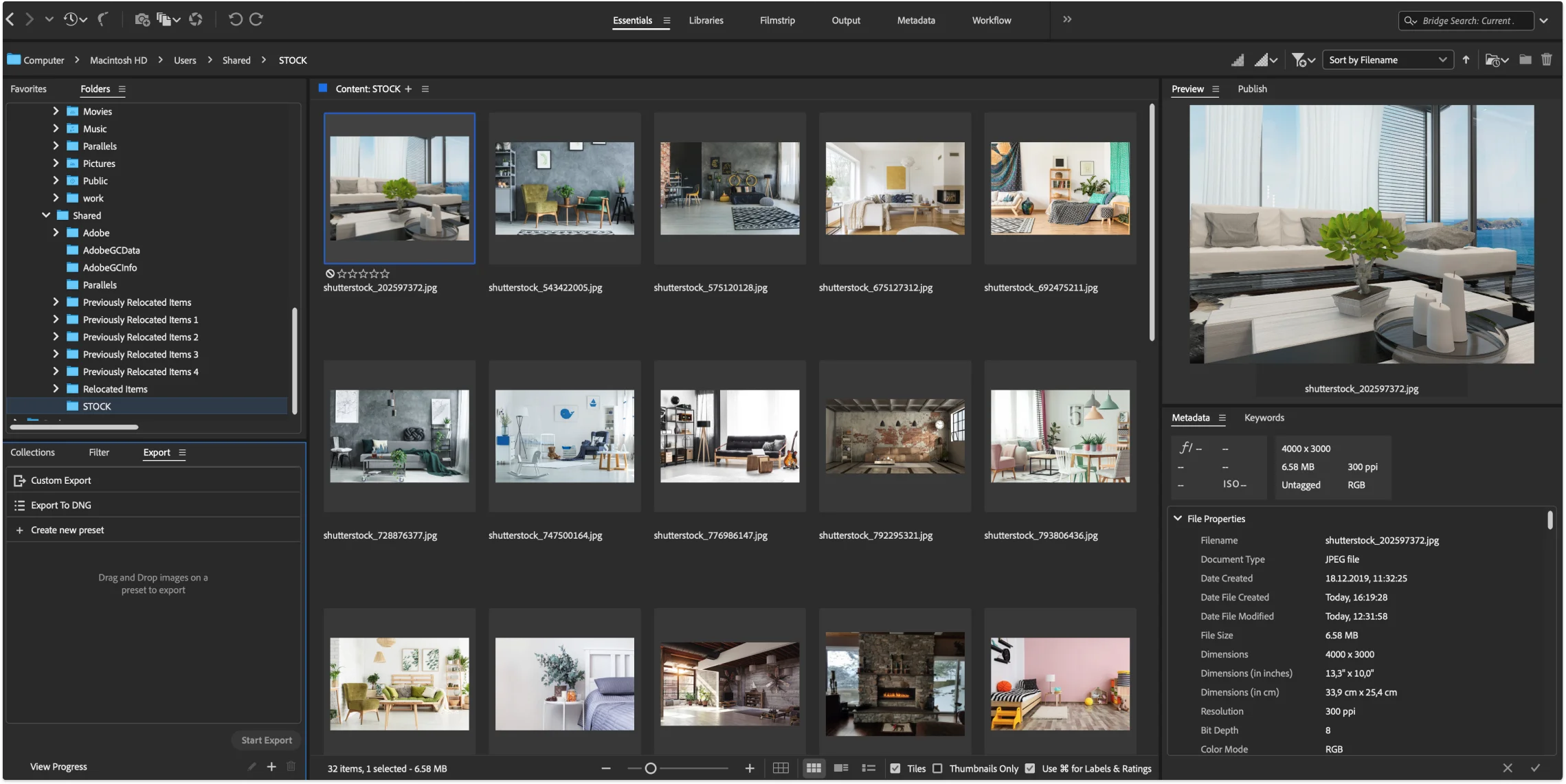 Adobe Bridge content panel with folder thumbnails and metadata sidebar