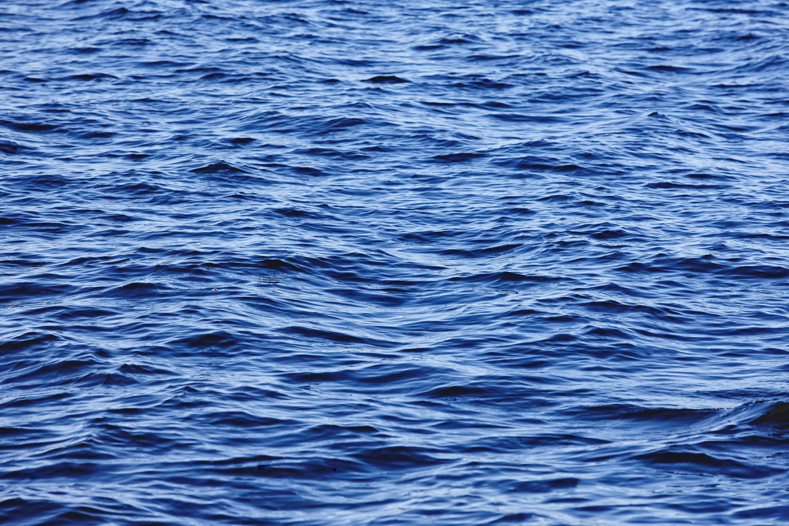 Endless seas of folders - Digital asset management systems and the zen of decluttering.