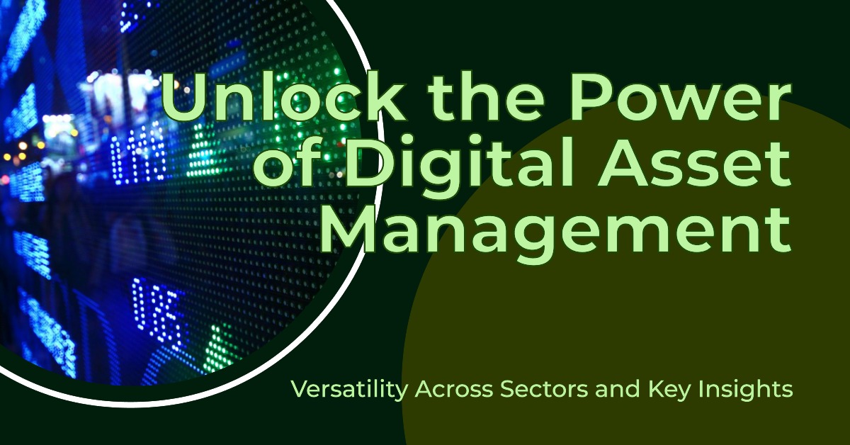 DAM Versatility Across Sectors and Key Insights