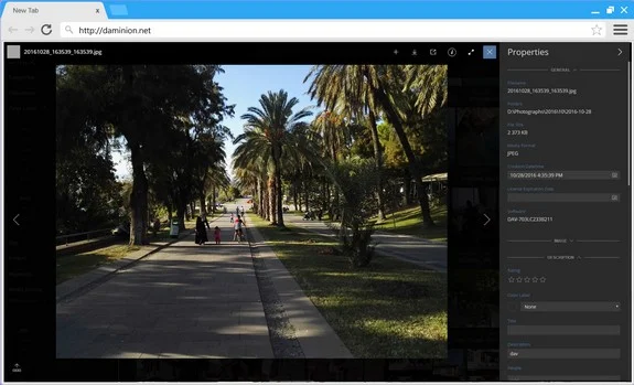 Daminion Web Client
