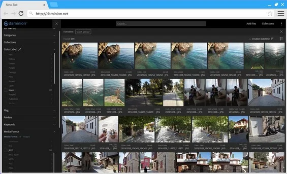 Daminion Web Client