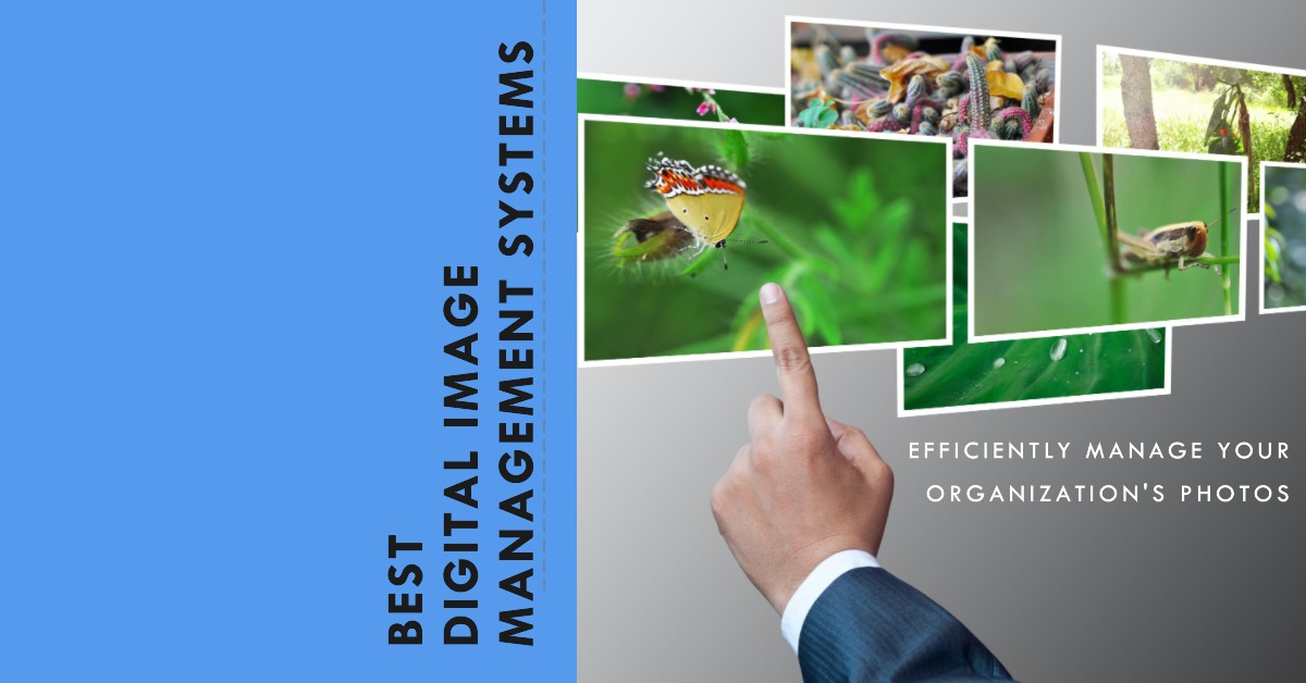 Best Digital Image Management Systems