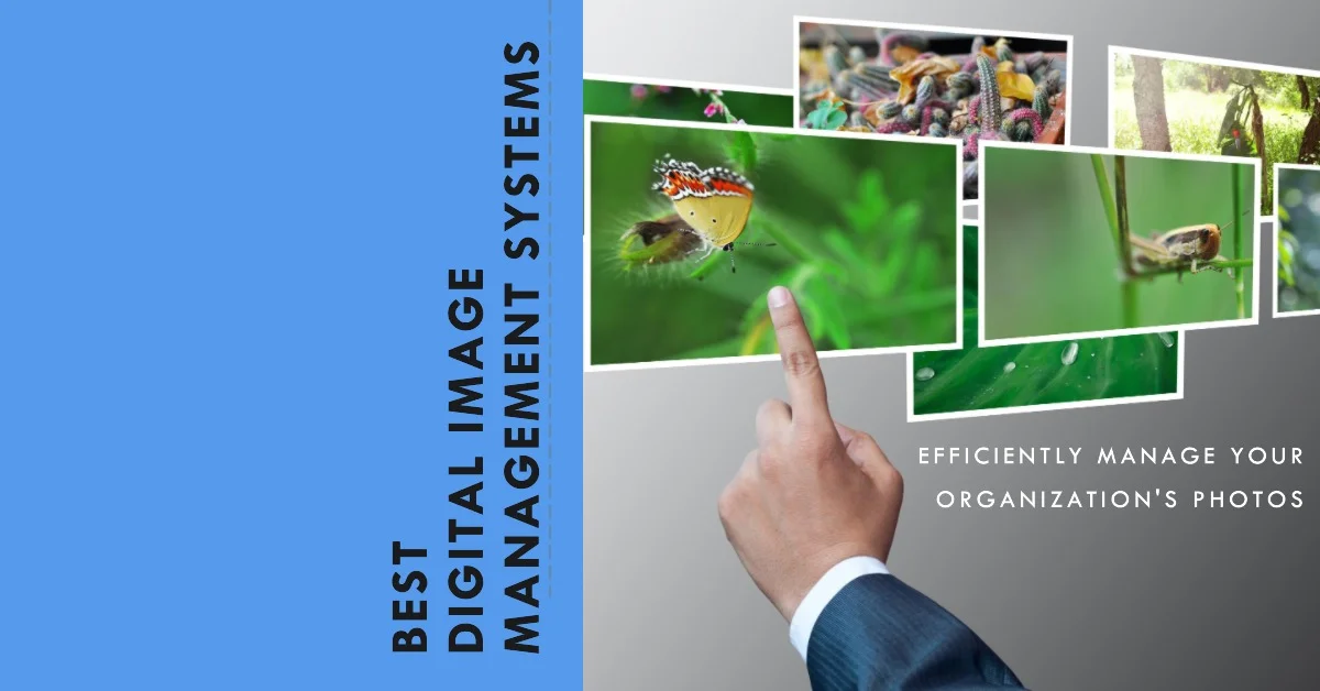 Best Digital Image Management Systems