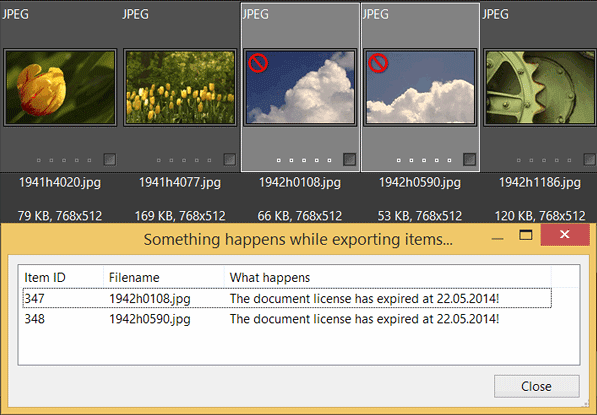 Expired License Date Expired License Date