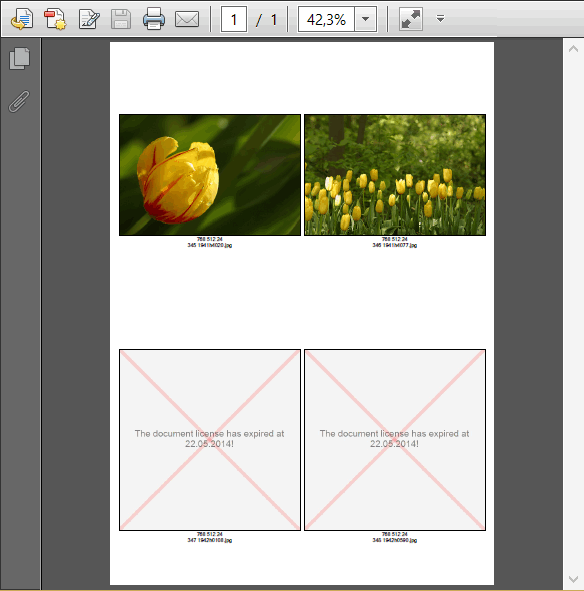 Expired License Date Expired License Date