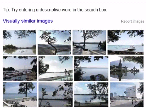 Find visually similar images in the Internet Find visually similar images in the Internet