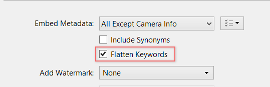 Flatten keywords in the exported images