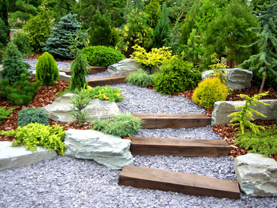 The Garden. Conceptual Landscape Design