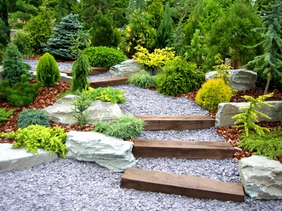 The Garden. Conceptual Landscape Design